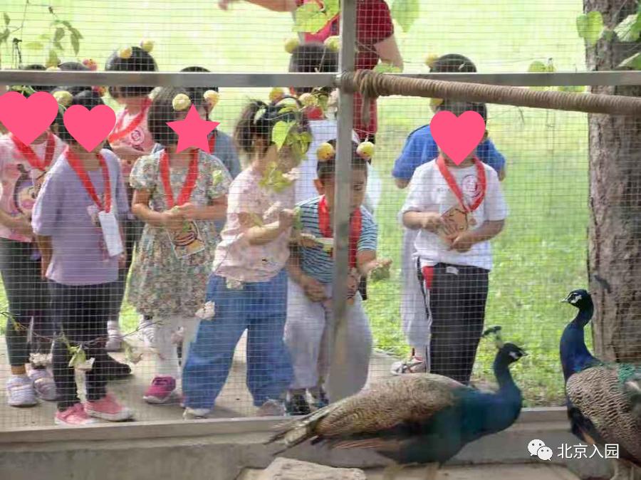 北京儿童室内动物园,占地7000平幼儿园