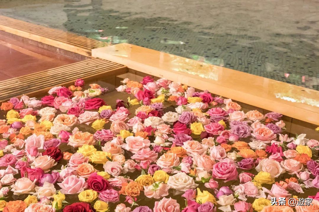 日本冬天滑雪去哪里,日本东北深山隐藏的秘密