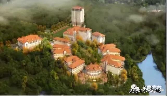 深圳最近几年新建设的高中学校,深圳2019年新开办的高中学校