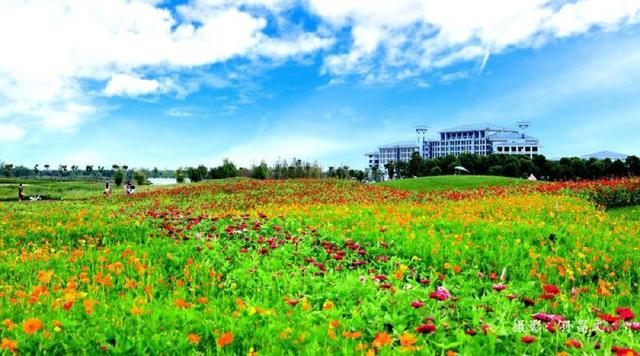 鄂旅投洪湖乌林悦兮温泉小镇级别,湖北洪湖最新项目