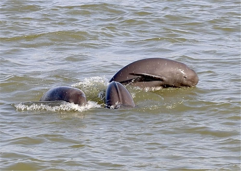 鍙戠數姘村簱鍏婚奔,鍙戠數姘村簱