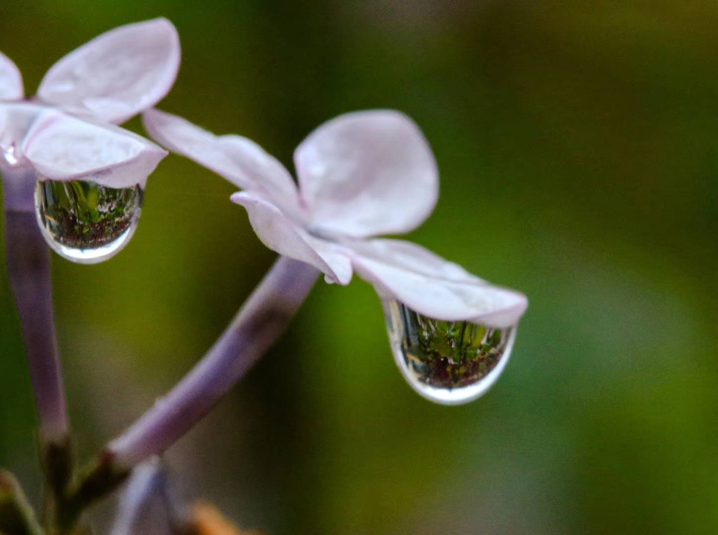 你的孩子其实不是你的孩子原文,你的孩子其实不是你的孩子全剧