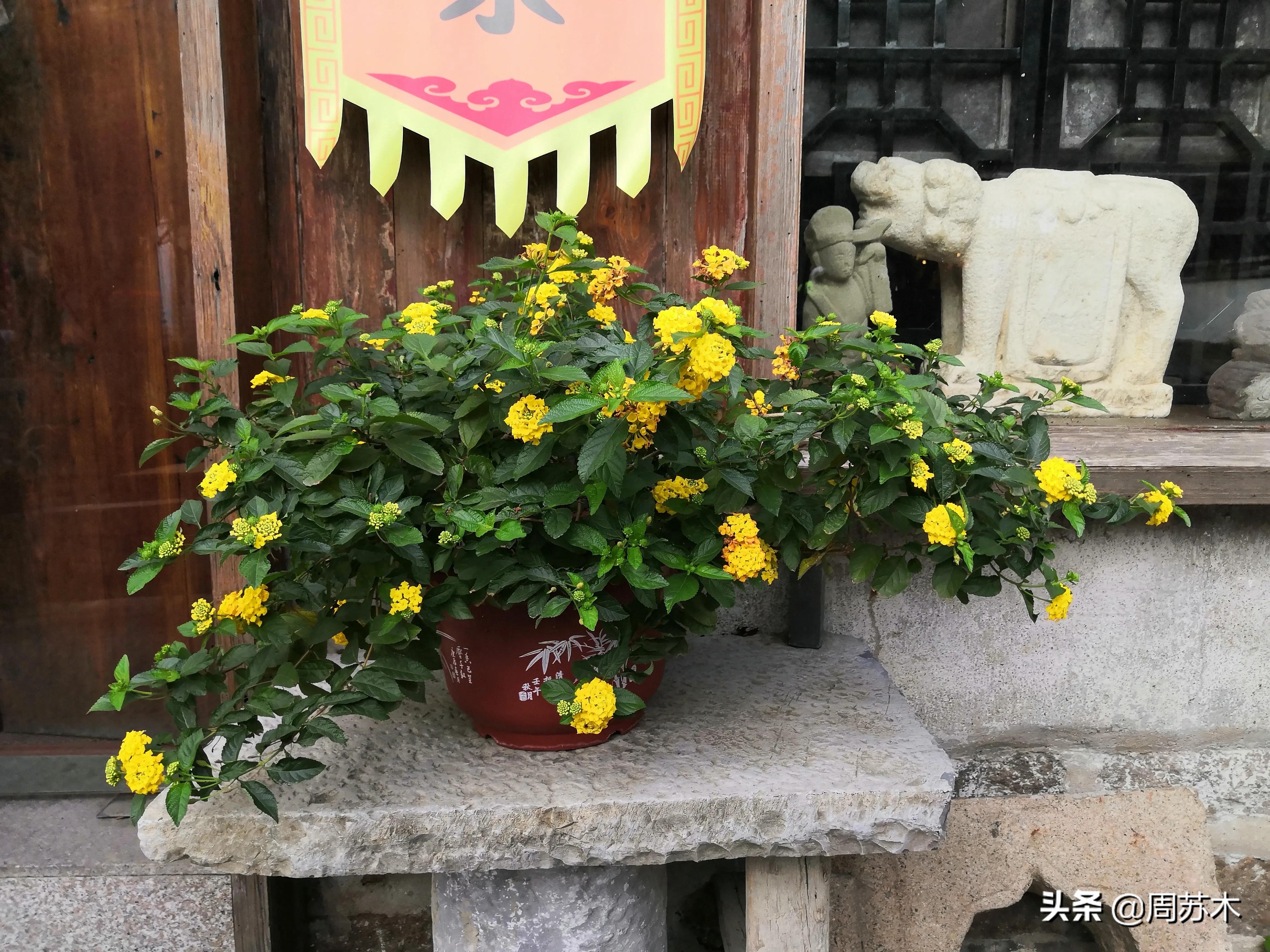 一位与书终身结缘的老叟