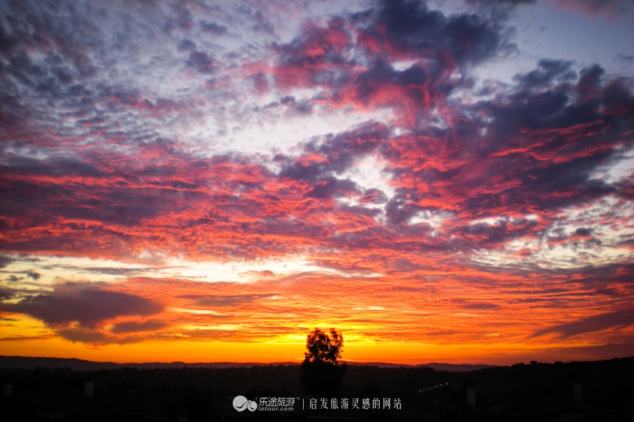 美国加州大学ucla录取条件,ucla加州大学洛杉矶分校女篮