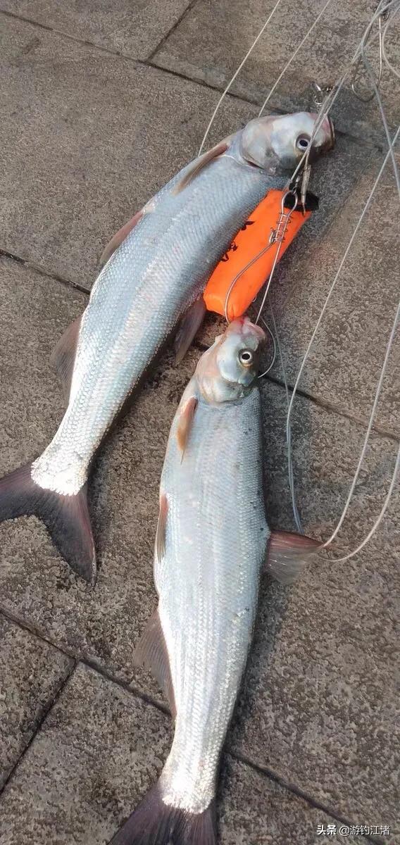 路亚纺车轮300元推荐一下,300元左右路亚纺车轮