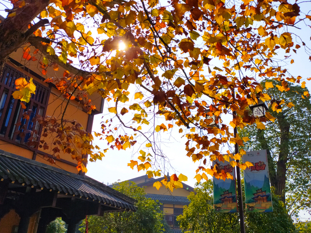 长沙有哪个古镇,长沙有名气的地方