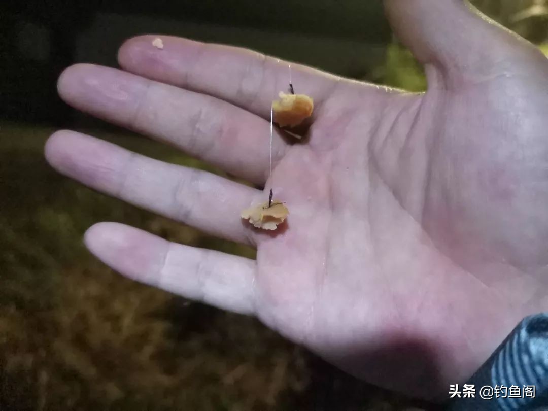 口香糖能钓到鱼吗？野河小测4小时，效果十分稳定