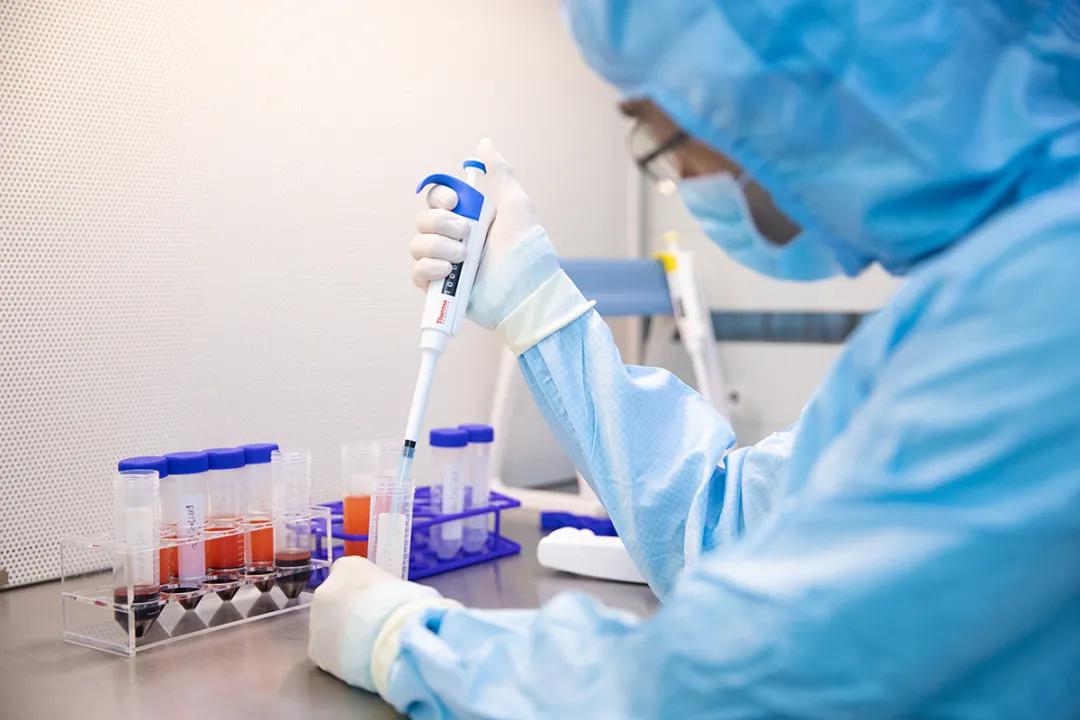 再添新产品,再添新成果