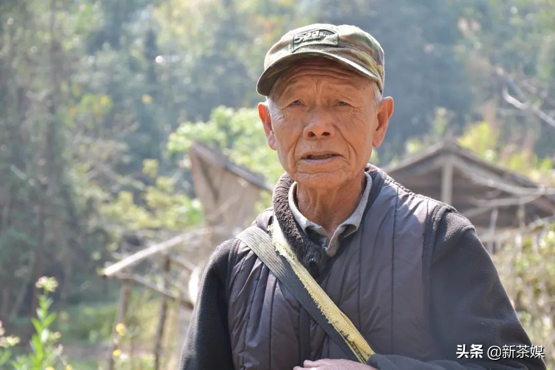 南糯山茶叶的故事,南糯山茶厂视频