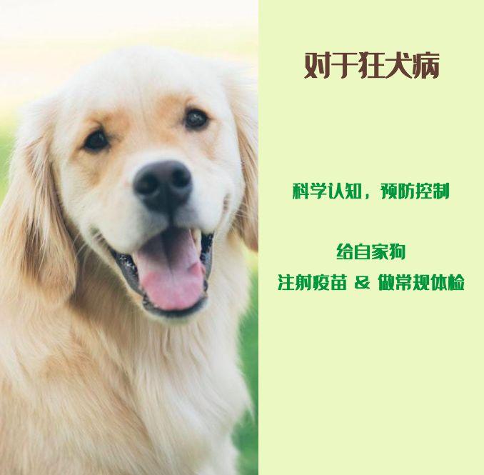 被狗舔了裤子不洗会感染狂犬病吗,被什么狗咬伤会得狂犬病