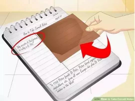 小学生如何用康奈尔笔记法,超实用的康奈尔笔记法史上最全