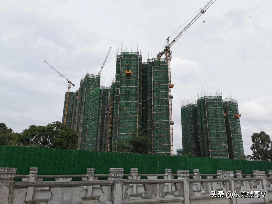 高埗镇的房价为啥这么高,高埗房价走势2021