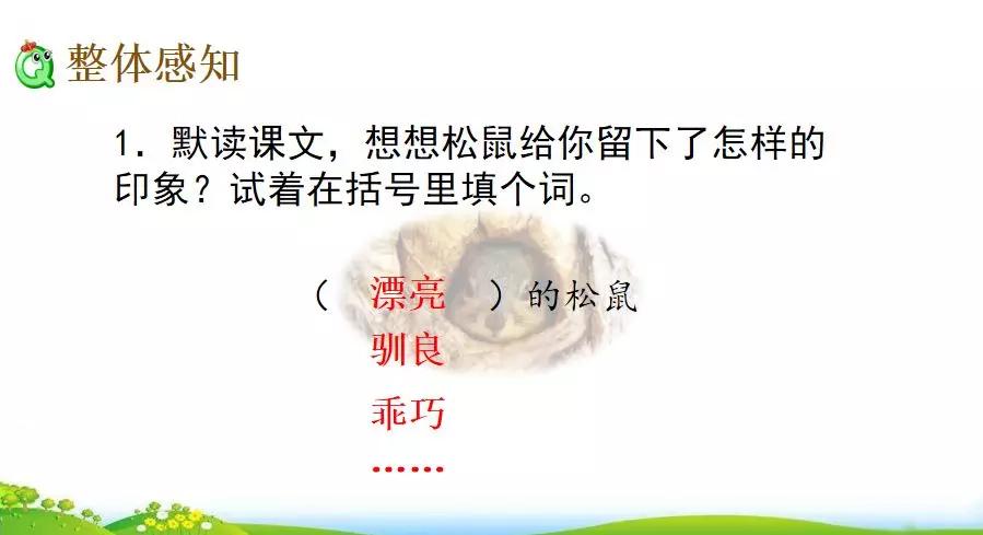 五年级语文第17课松鼠讲解,五年级上册第17课松鼠教材详解