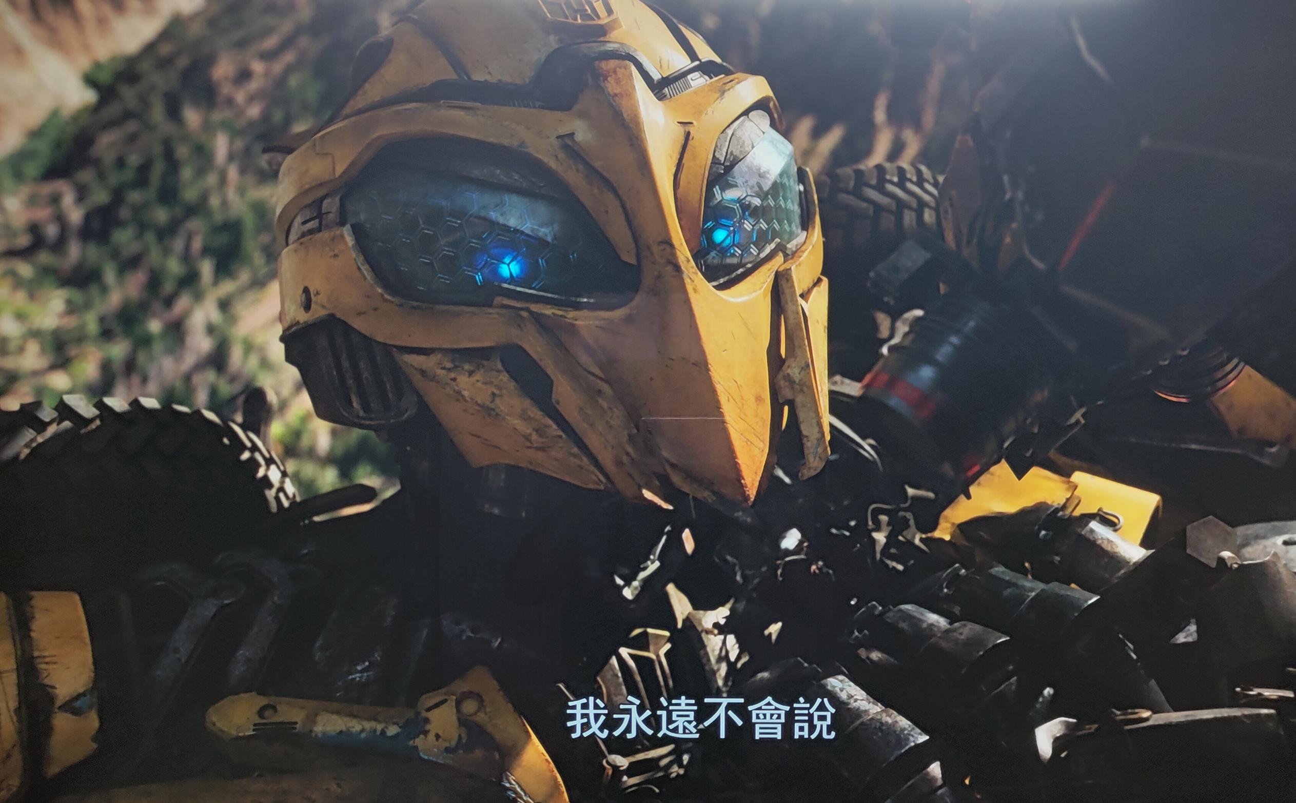 飞利浦55oled804,飞利浦65寸oled786评测