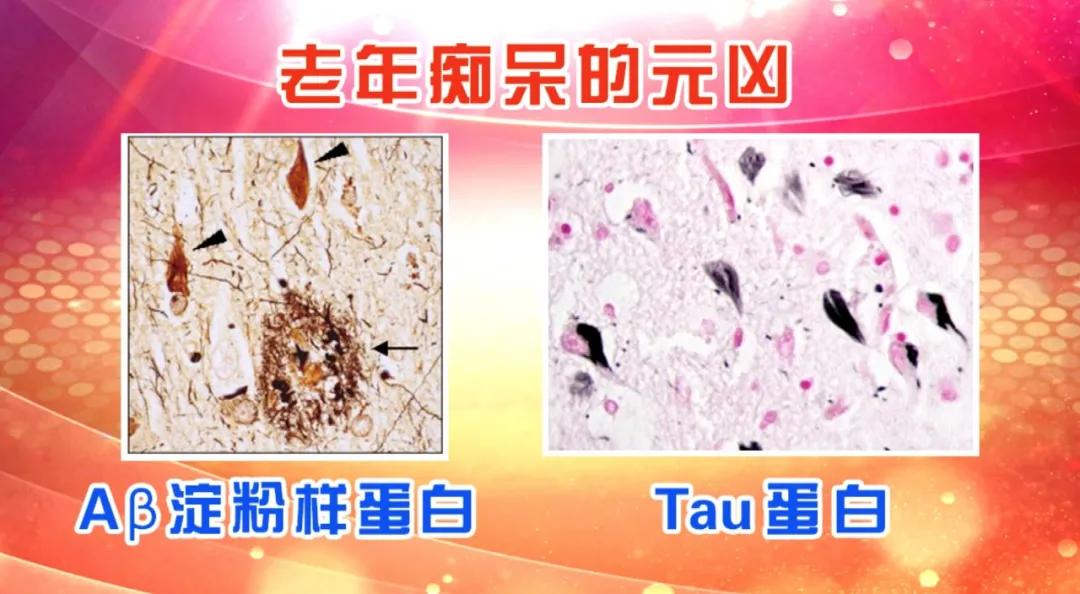 <html>
<head><title>502BadGateway</title></head>
<body>
<center><h1>502BadGateway</h1></center>
<hr><center>nginx</center>
</body>
</html>
<!--apaddingtodisableMSIEandChromefriendlyerrorpage-->
<!--apaddingtodisableMSIEandChromefriendlyerrorpage-->
<!--apaddingtodisableMSIEandChromefriendlyerrorpage-->
<!--apaddingtodisableMSIEandChromefriendlyerrorpage-->
<!--apaddingtodisableMSIEandChromefriendlyerrorpage-->
<!--apaddingtodisableMSIEandChromefriendlyerrorpage-->
