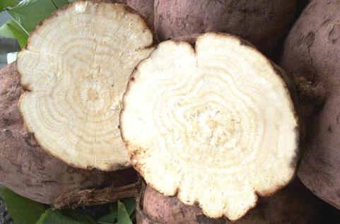 葛根:泰国禁止出口,日本返销中国,在国内是“长寿之乡”的特产