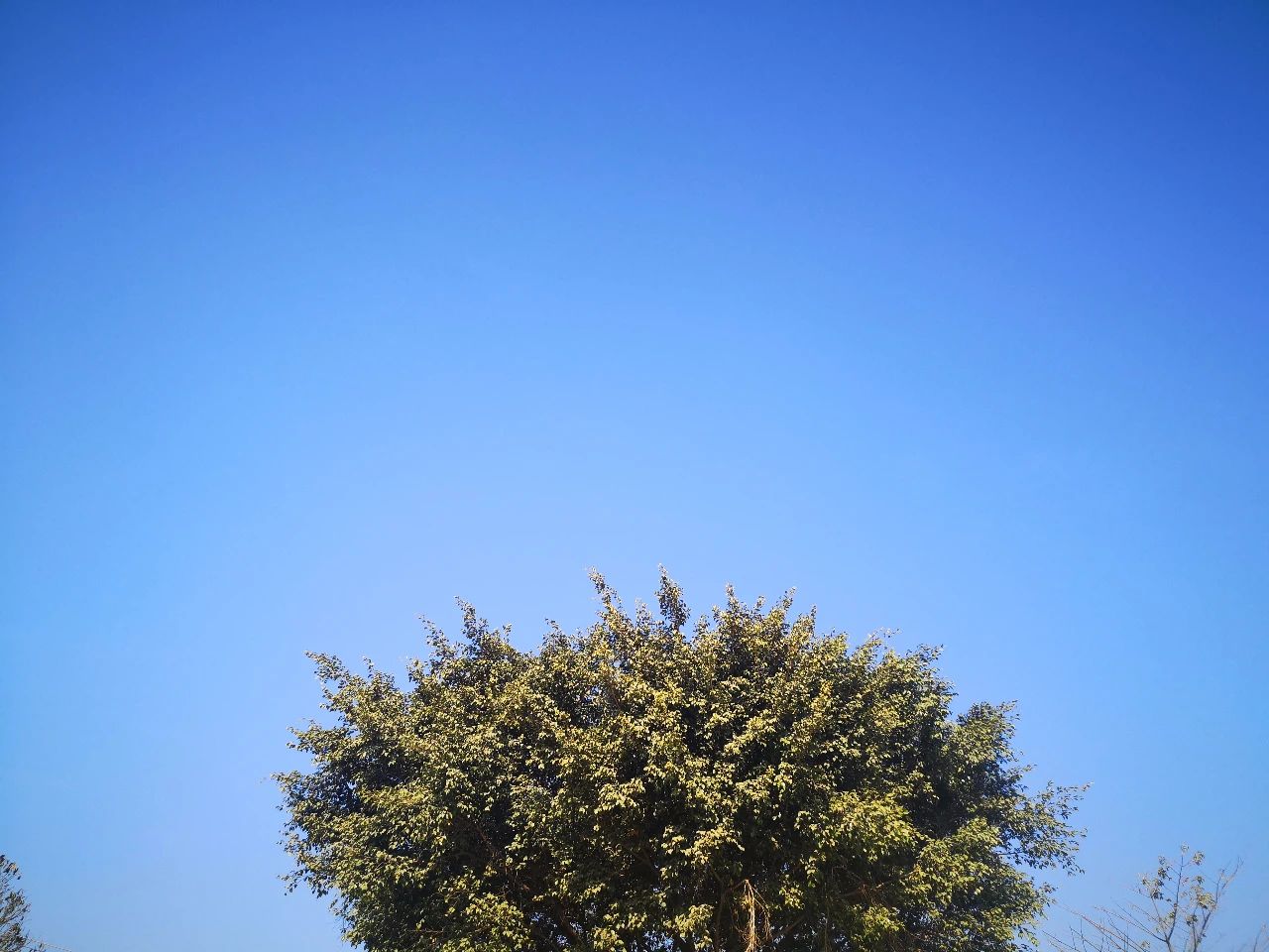 广州市帽峰山一日游全攻略图片,广州帽峰山景区自驾旅游攻略图