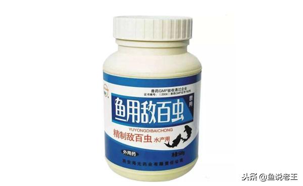 预防鱼儿生病怎么下药,如何急救生病的鱼