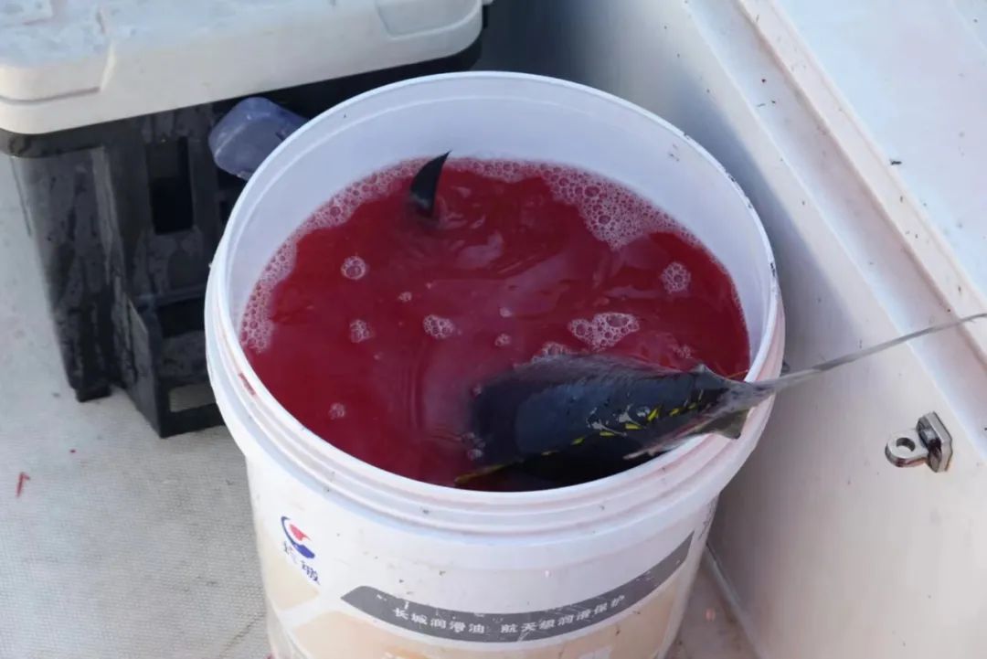 野奢不被鄙视?问问那些爱钓鱼的老孩子们,他们有活蹦乱跳的经验