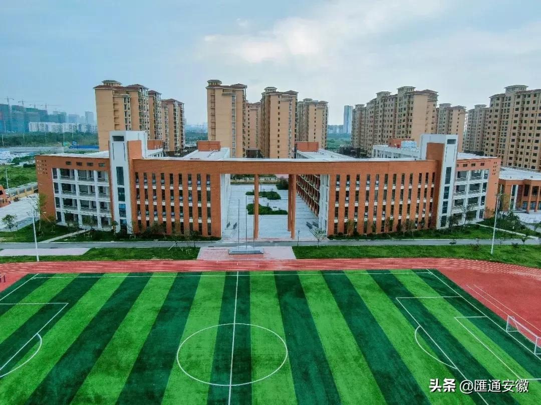 东坡区新增2所小学,颍州区学校最新消息