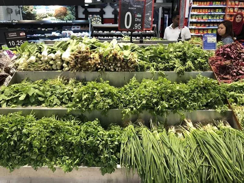 迪拜日常生活怎么样,在迪拜生活的感受