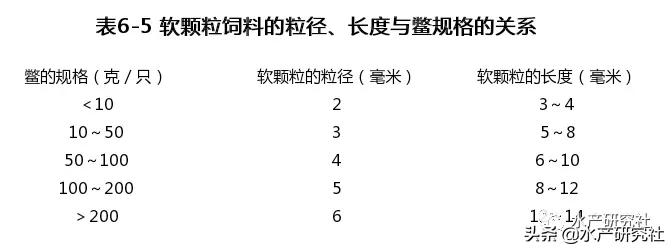 沙鳖和甲鱼哪个好养殖呢,甲鱼养殖专用饲料