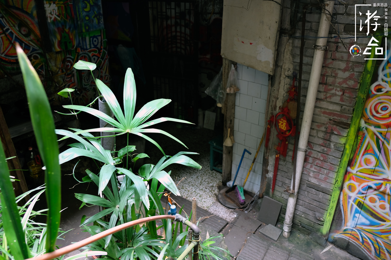 燕子岩重庆,重庆燕子岩风景区