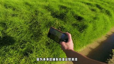 为什么有些人手机拍照那么好看,为什么手机拍照的人越来越多