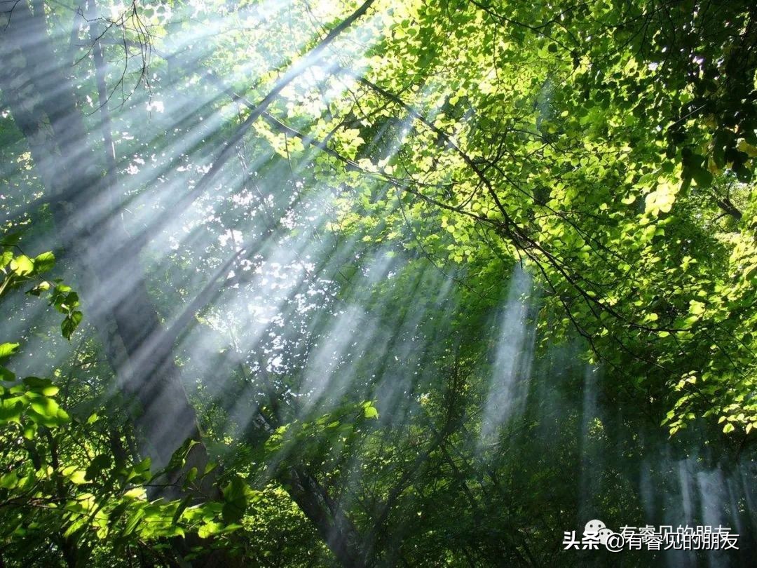 利基的营销方案,利基模式啥意思