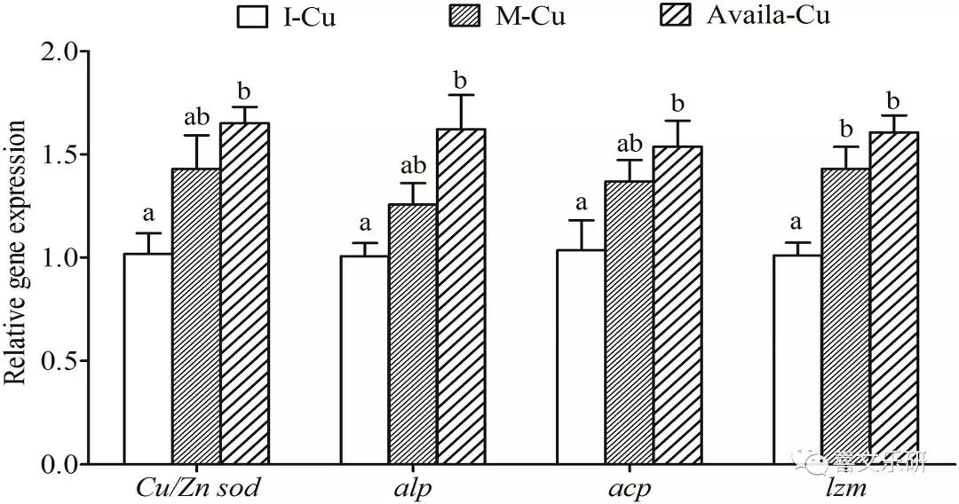 添加硫酸铜养的鱼能吃吗,微量元素对于对虾的影响