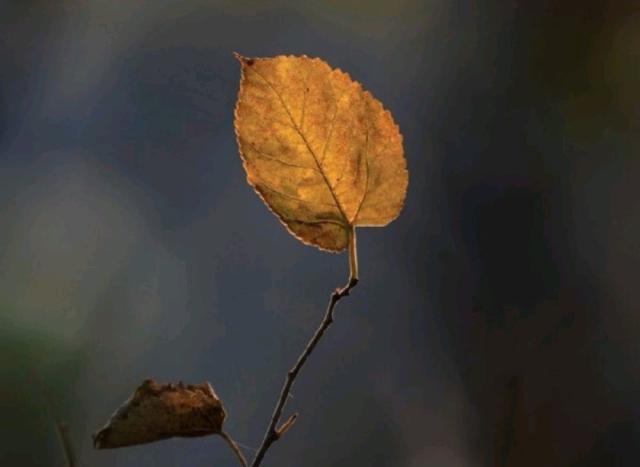 看透了人间冷暖的说说,看清人心的经典现实说说