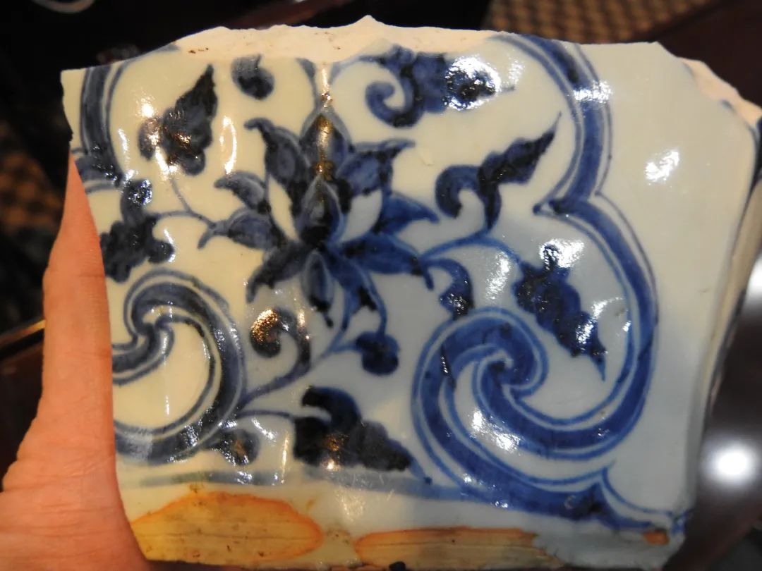 鍏冮潚鑺卞寽鐪熷搧鐗瑰緛,姘戠獞鍏冮潚鑺辩鐗瑰緛