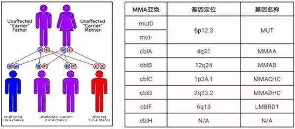 遗传基因代谢疾病怎么治疗,基因治疗基因病