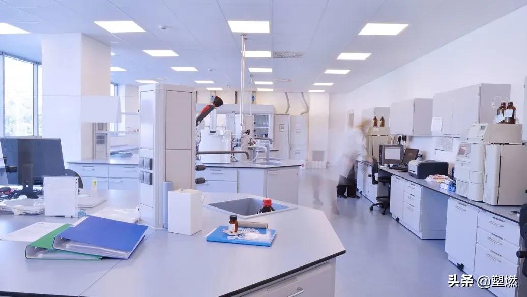 一般健身蛋白粉成分有哪些,健身补剂蛋白粉和什么最好