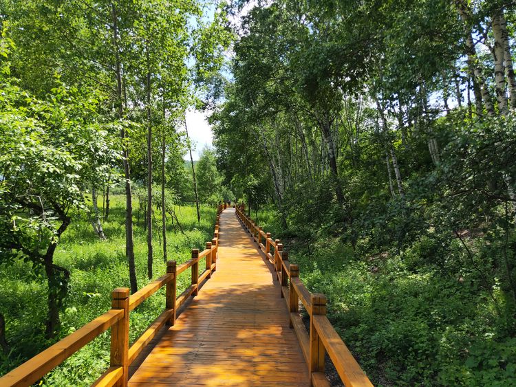 美丽的高岭塞罕坝,美丽的高岭朗诵