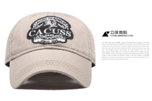 男士服装品牌排行始祖鸟,始祖鸟remake优衣库