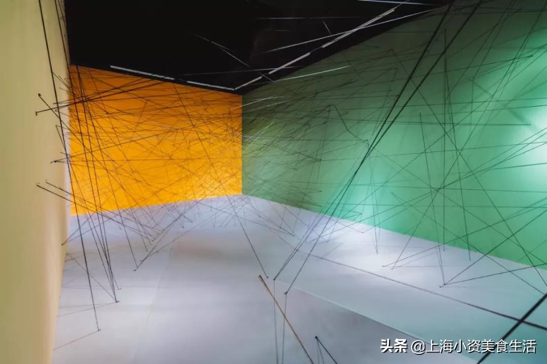 精神病院魔都,魔都精神病医院院长