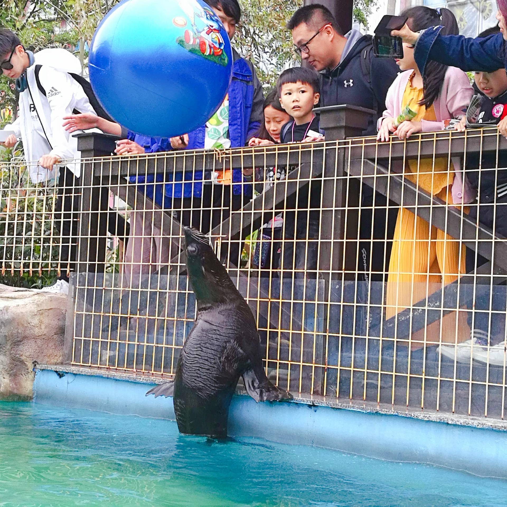 厦门灵玲动物王国游玩时间,五一去哪个动物园玩亲子一日游