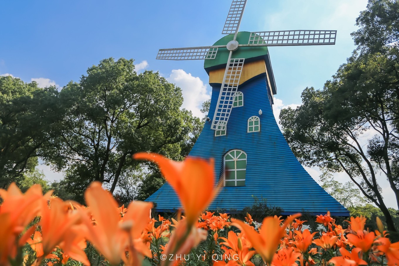 无锡梅园不只能赏梅，初秋近万亩百合花海盛放，小姐姐直呼太美了