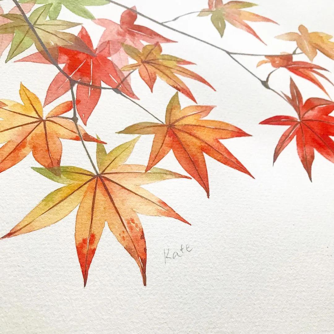 一分钟教你简单画花,简单的花卉图教程