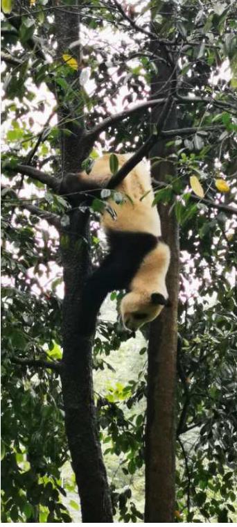 历史文化古城四川古城,四川省伟人故里