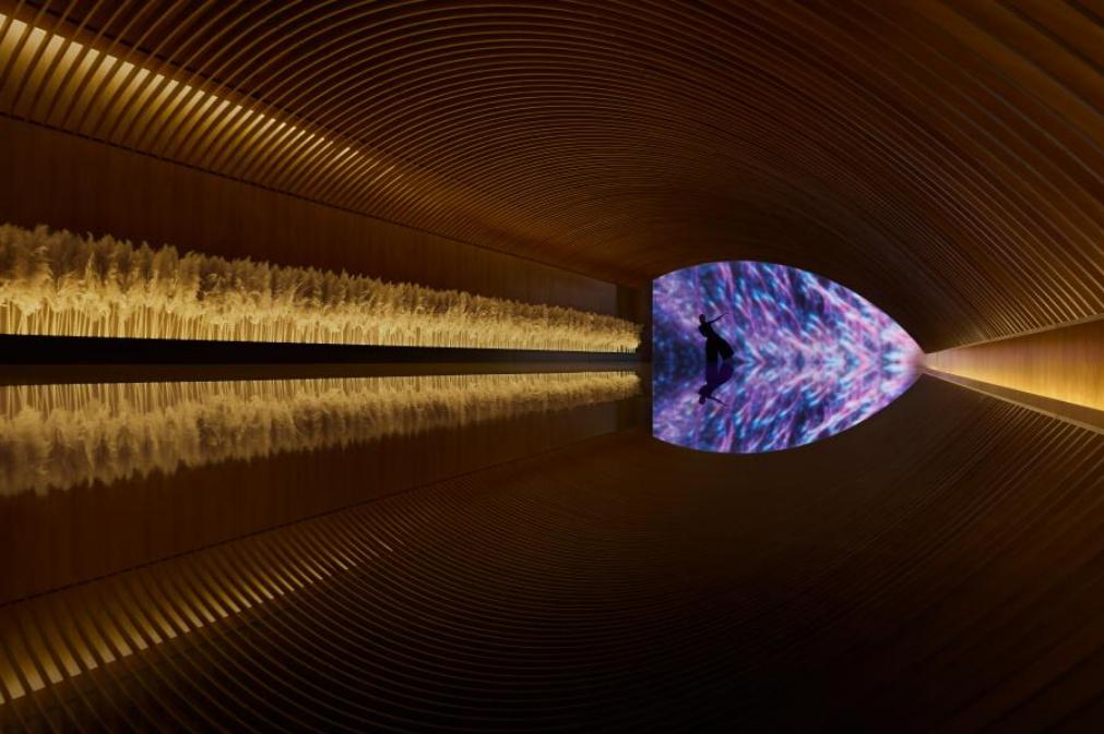 艾特奖优秀奖,艾特奖终身成就奖