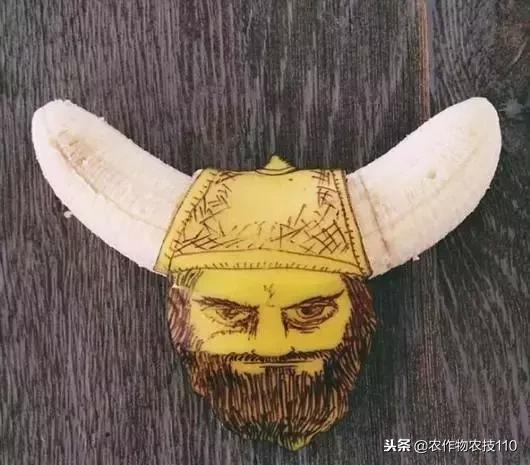 艺术与农业的饕餮盛宴,艺术与农产品结合的创新之处