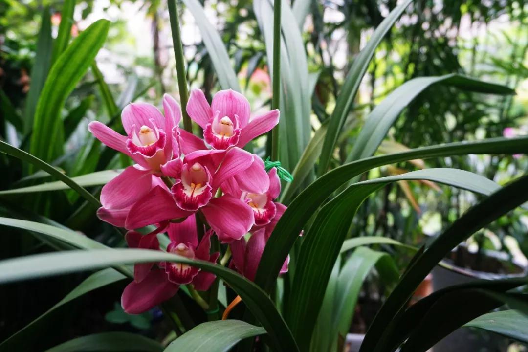 <html>
<head><title>502BadGateway</title></head>
<body>
<center><h1>502BadGateway</h1></center>
<hr><center>nginx</center>
</body>
</html>
<!--apaddingtodisableMSIEandChromefriendlyerrorpage-->
<!--apaddingtodisableMSIEandChromefriendlyerrorpage-->
<!--apaddingtodisableMSIEandChromefriendlyerrorpage-->
<!--apaddingtodisableMSIEandChromefriendlyerrorpage-->
<!--apaddingtodisableMSIEandChromefriendlyerrorpage-->
<!--apaddingtodisableMSIEandChromefriendlyerrorpage-->
