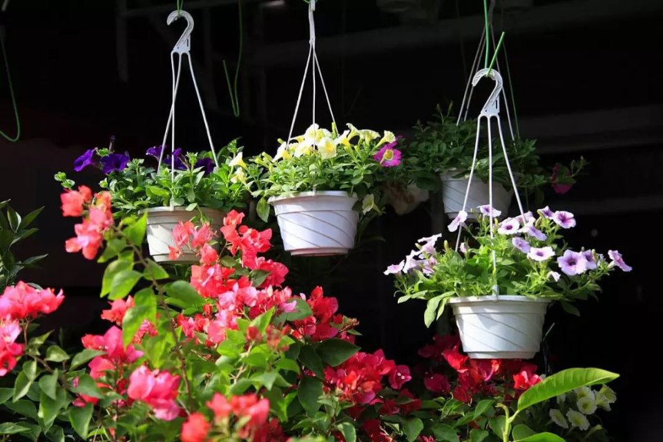 深圳最便宜年货批发市场货源,深圳年货市场哪里便宜