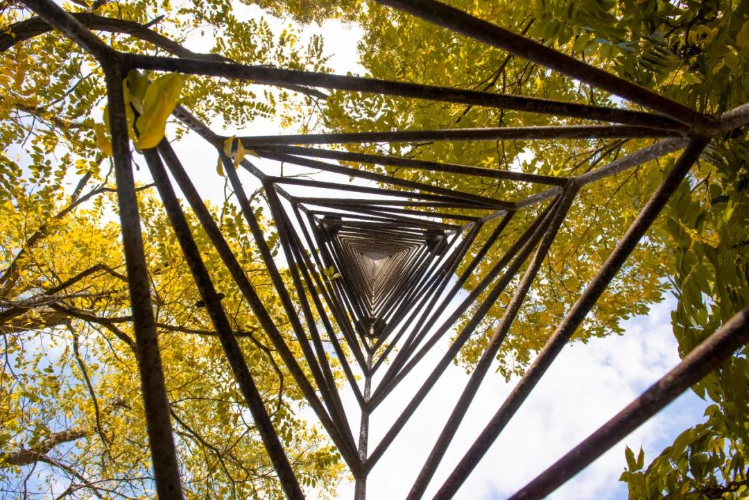 醉美大工秋|读书不觉已秋深，____________