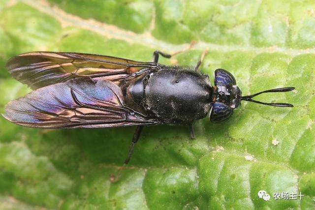 从乞丐到身价200万仅用一年时间,从乞讨到名相的传奇人生