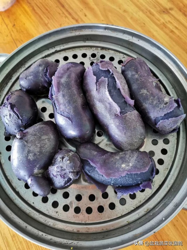紫土豆怎么种,紫土豆的种类及功效
