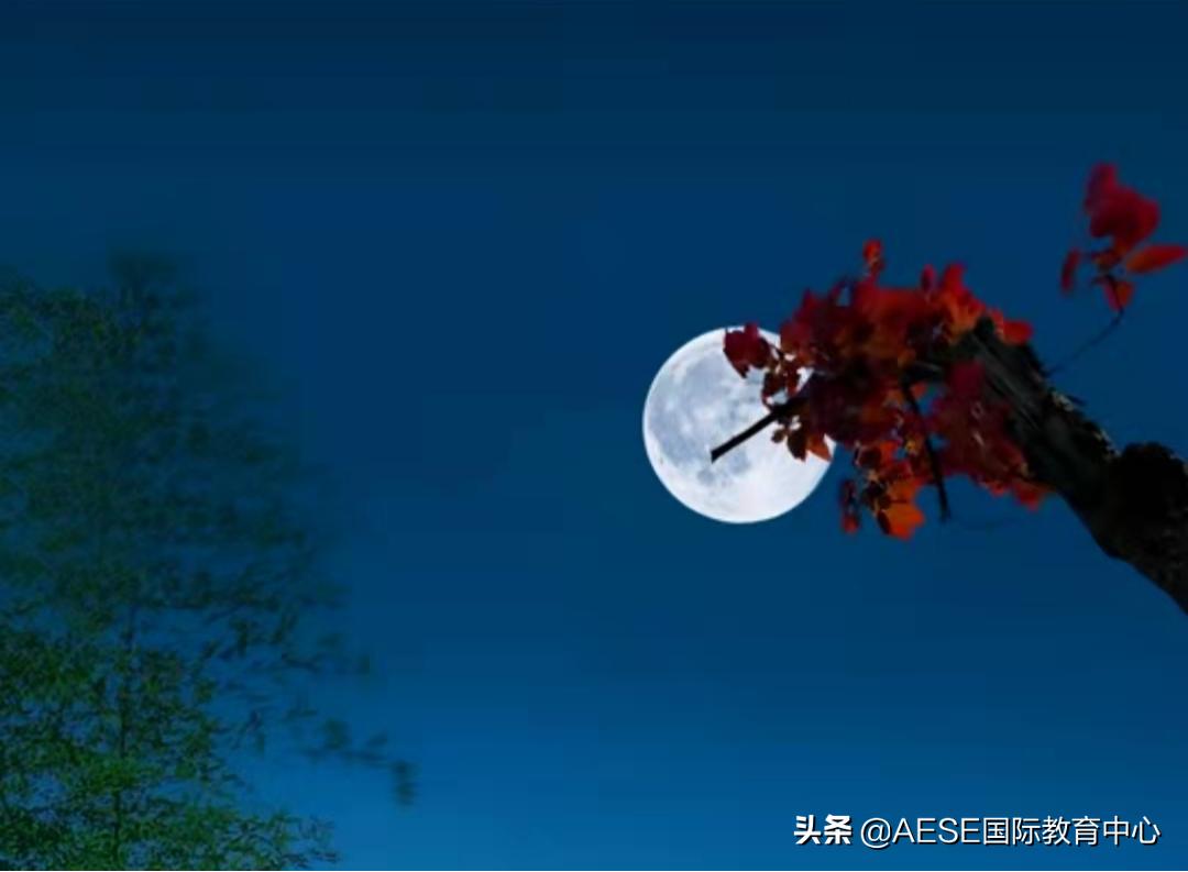 浓情中秋与你同乐,月满中秋浓情献礼