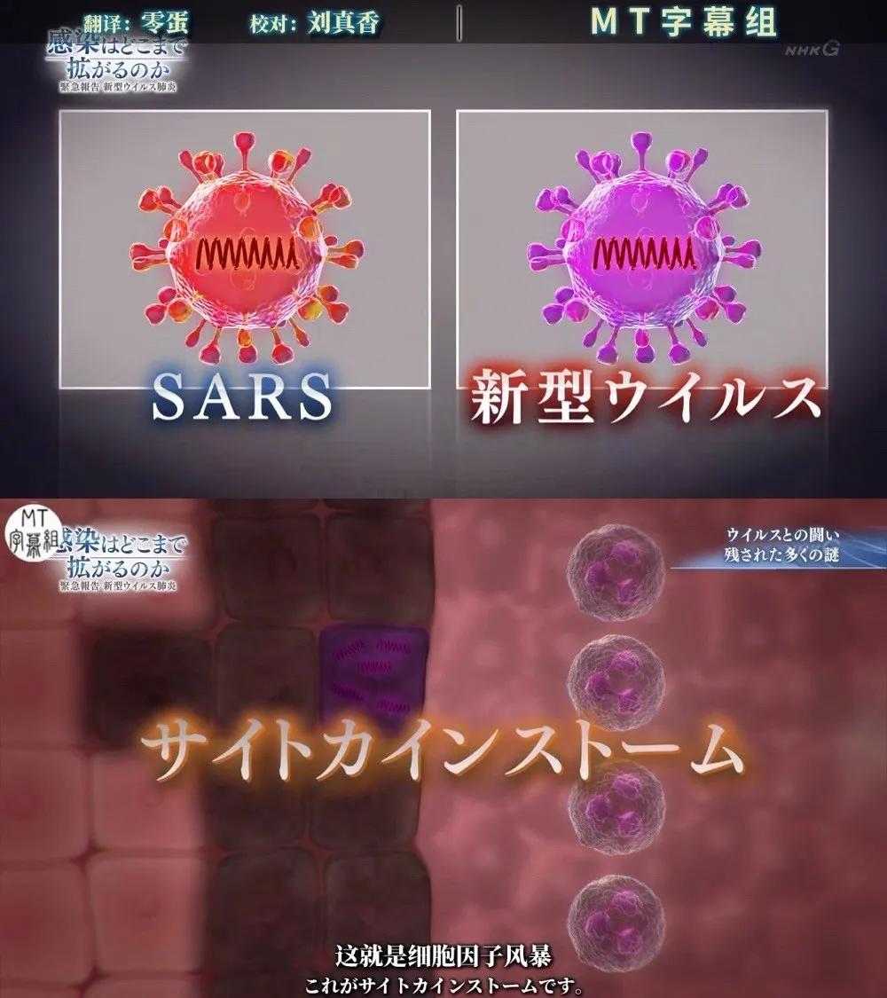 新冠病毒疫情纪录片,记录武汉疫情的纪录片